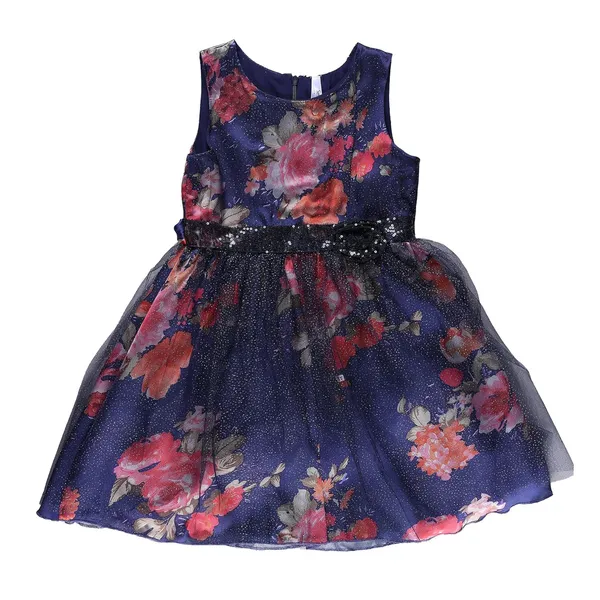 Blue_Flowers_Printed_Fit_And_Flair_Sleeveless_Dress_For_Girls