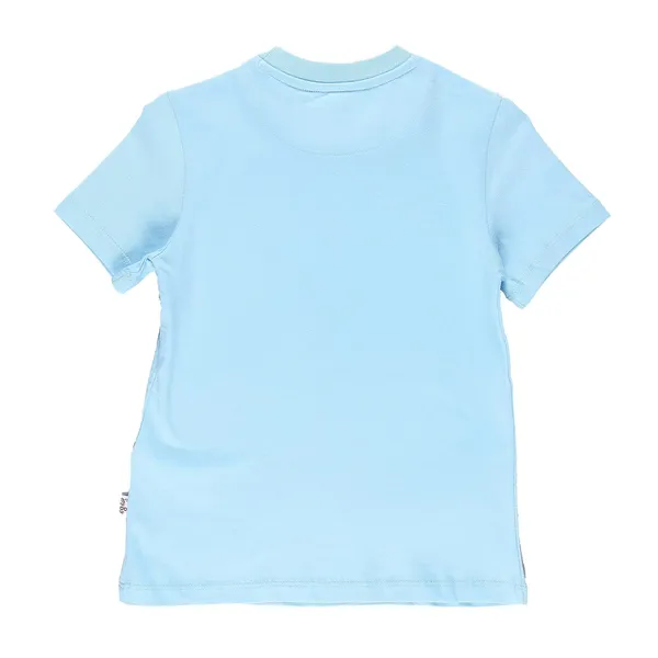 Sky_Blue_Front_Teddy_Printed_Half_Sleeve_Top_For_Girls