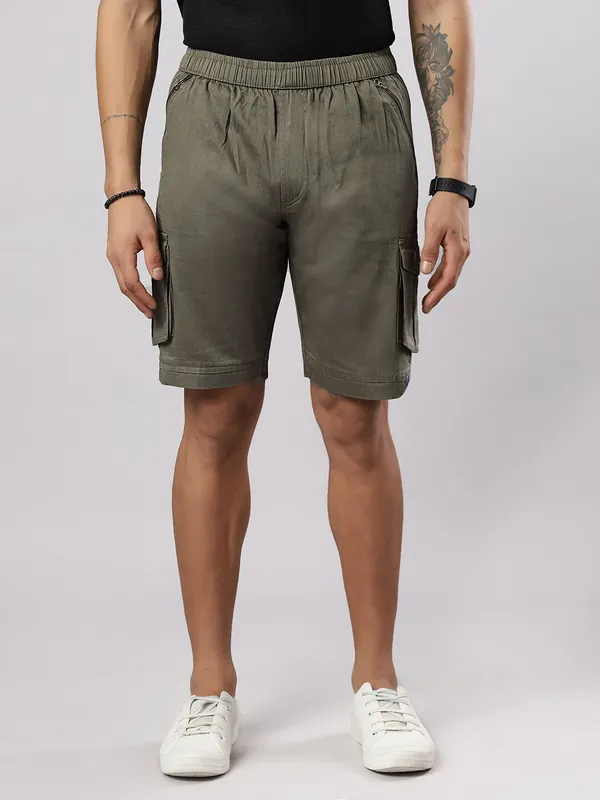 Green_Pure_Cotton_Regular_fit_Shorts_For_Men