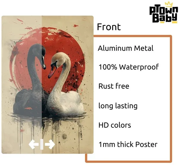 Harmony_In_Contrastyin-Yang_Two_Swans_A4_Size_Metal_Poster