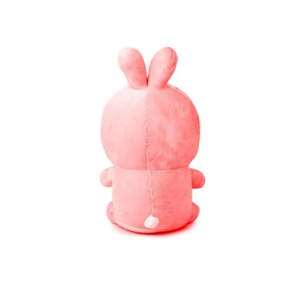 Multicolor_Cute_Bunny_Soft_Toy_(30_Cm)