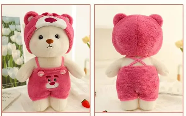 Multicolor_Exclusive_Teddy_For_Your_Loved_Ones