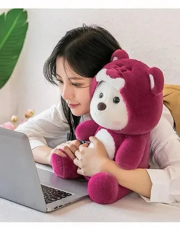 Multicolor_Lovely_Hoodie_Removable_Playtime_Huggable_Teddy_Bear_Soft_Toy_(35_Cm)