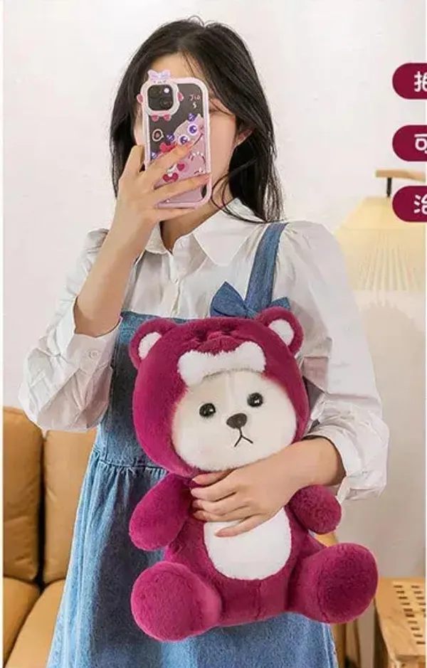 Multicolor_Lovely_Hoodie_Removable_Playtime_Huggable_Teddy_Bear_Soft_Toy_(35_Cm)