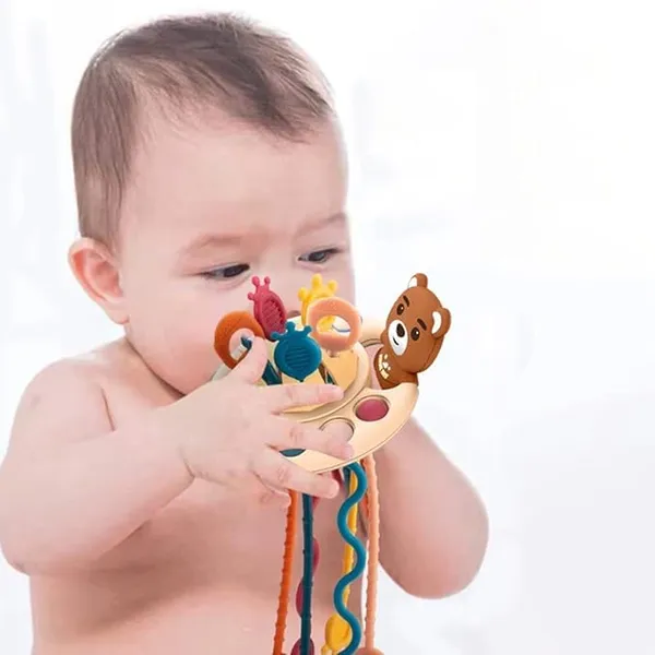 Multicolor_Pedatrician_Approved_Pull_String_Popup_Ealy_Development_Interactive_Toy_Teddy_Bear_Design_(12_X_12_X_20_Cm)