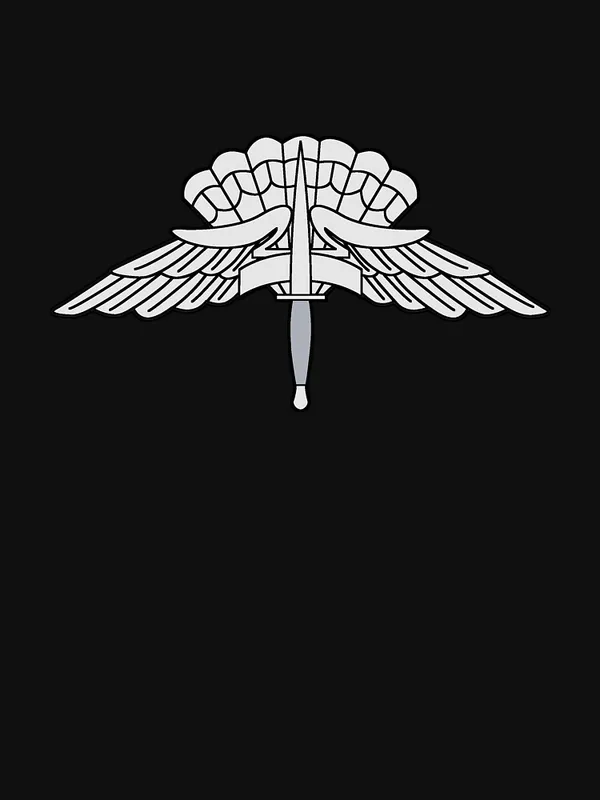 Military_Freefall_Parachutist_Badge_(USAF_-_US_ARMY)_Essential_T-Shirt