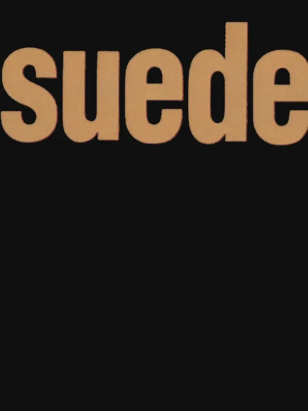 Suede_Band_Logo_Essential_T-Shirt