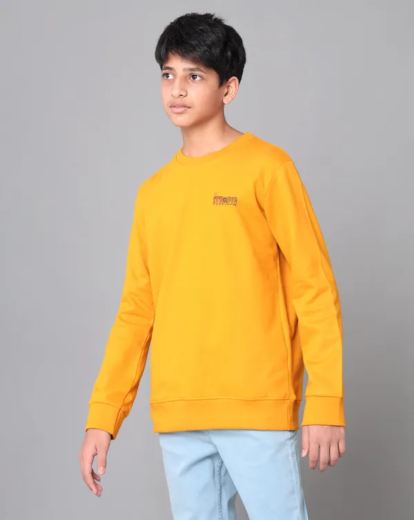 Boys_Sweat_Shirts