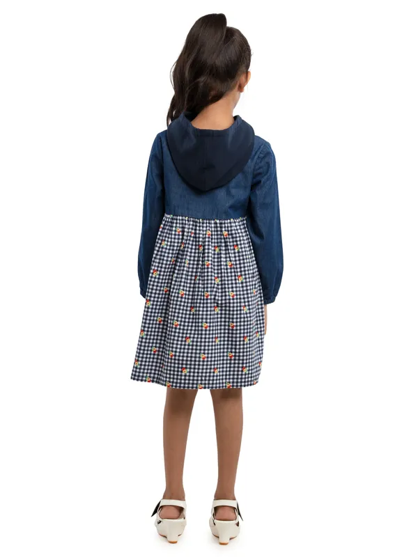Blue_Cotton_Regular_Fit_Dresses_For_Girls