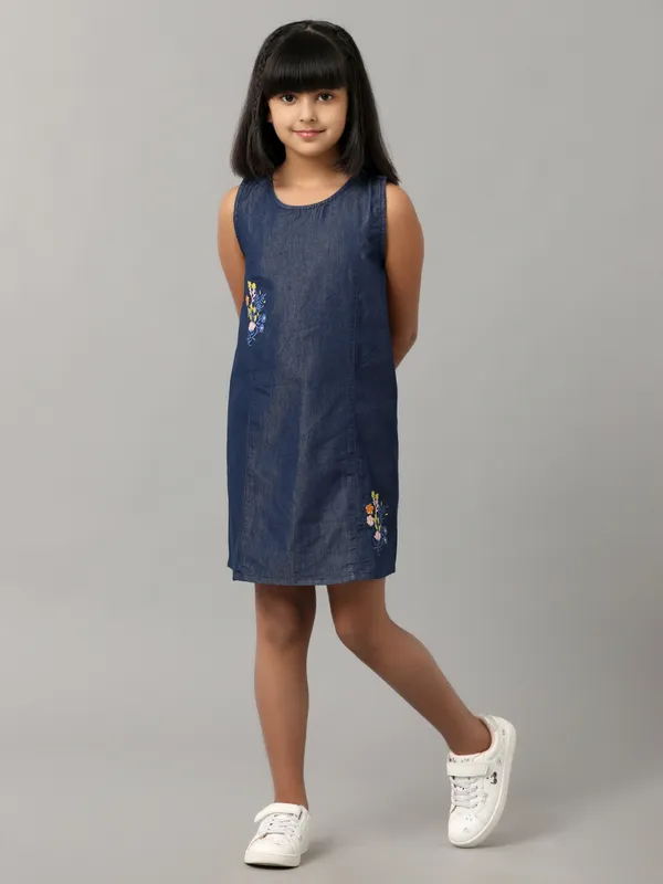 Lt_Wt_Denim_Sporty_Dress