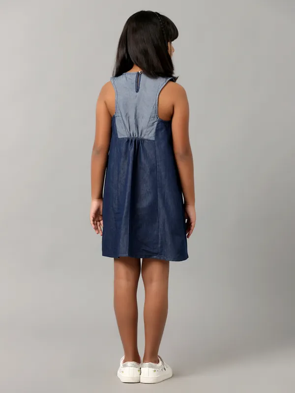 Lt_Wt_Denim_Sporty_Dress