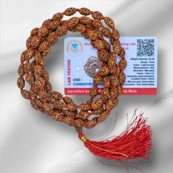 Brown_2_Mukhi_Rudraksh_Beads_Mala_(108_Beads)