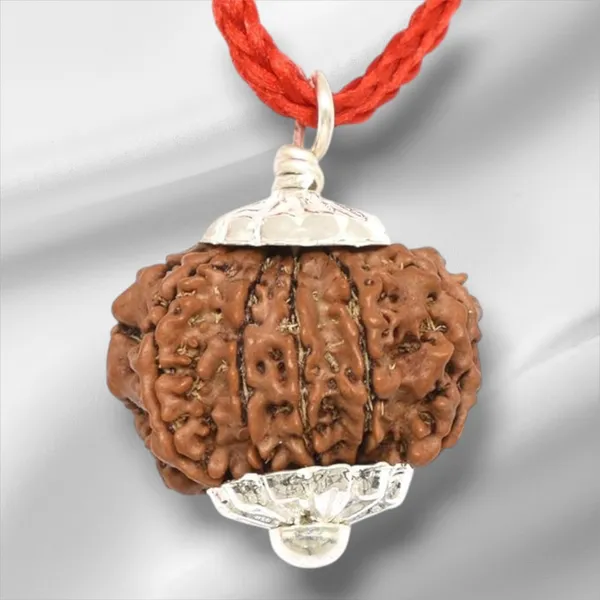 Brown_10_Mukhi_Nepali_Rudraksh_Pendant_For_Men_&_Women