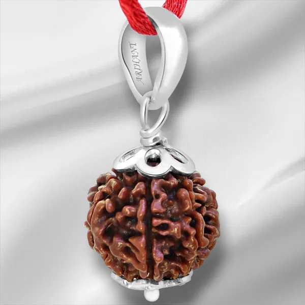 Brown_7_Mukhi_Silver_Rudraksh_Pendant_For_Men_&_Women