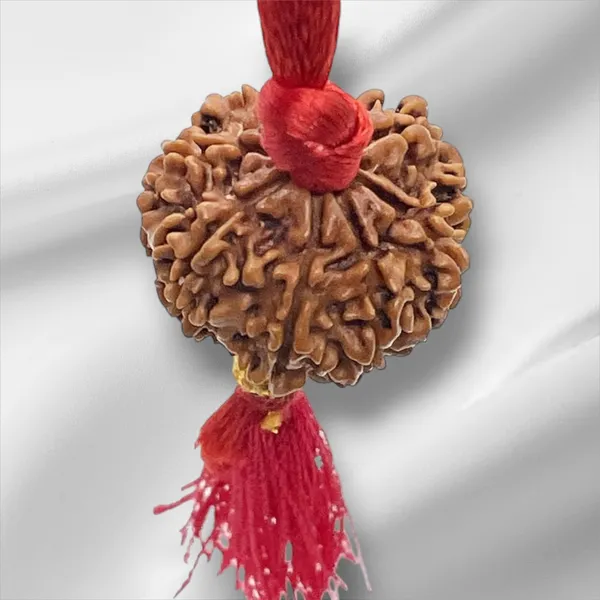 Brown_8_Mukhi_Nepali_Rudraksha_For_Men_&_Women