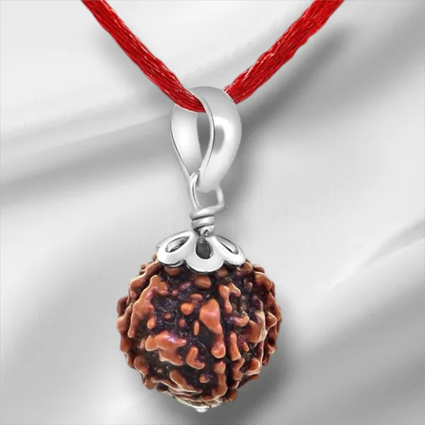 Brown_5_Mukhi_Rudraksh_Pendant_With_Red_Thread_For_Men_&_Women