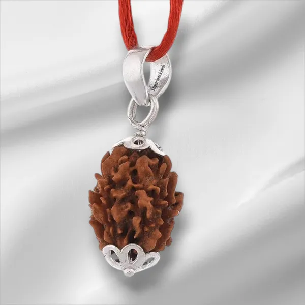 Brown_3_Mukhi_Nepali_Rudraksh_Pendant_For_Men_&_Women