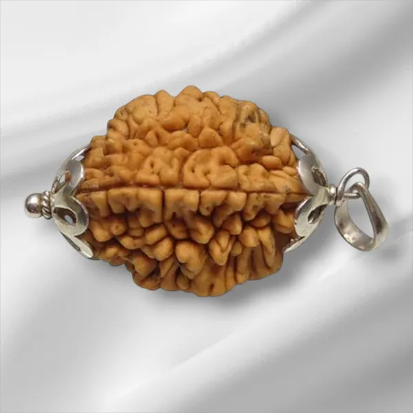 Brown_2_Mukhi_Nepali_Rudraksh_Pendant_For_Men_&_Women