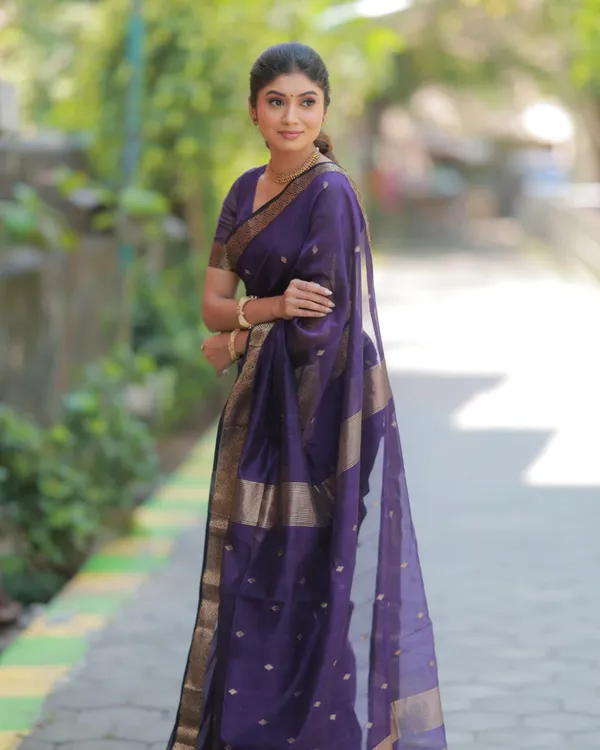 Navy_Blue_Color_Premium_Cotton_Silk_Saree_With_Classy_Blouse