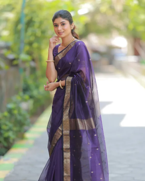 Navy_Blue_Color_Premium_Cotton_Silk_Saree_With_Classy_Blouse
