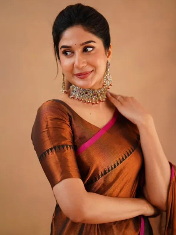 Brown_Tissue_Cotton_Saree_with_Black_Thread_Detailing_with_Matching_Blouse_Piece