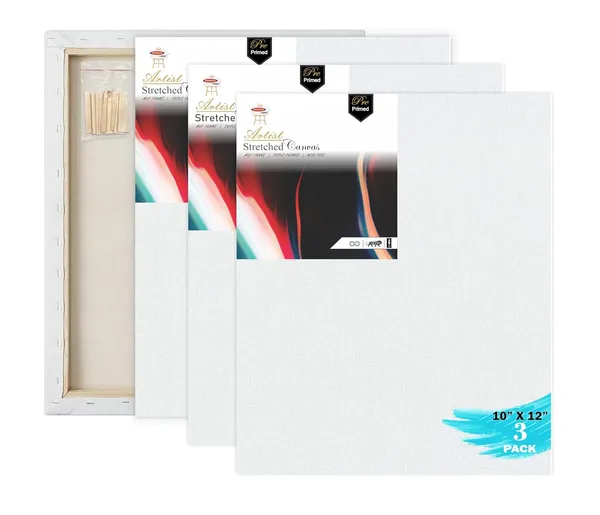 10X12_STRETCHED_WHITE_PRIMED_COTTON_PRE_STRETCHED_CANVAS_WITH_WOODEN_FRAME_PACK_OF_3