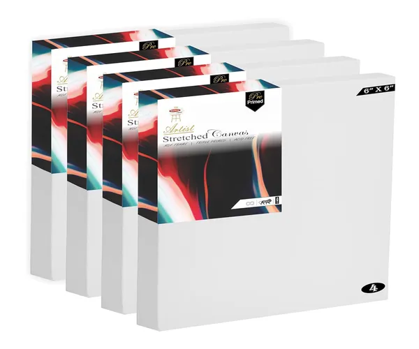 Multicolour_Pre_Stretched_Canvas_Pack_Of_2