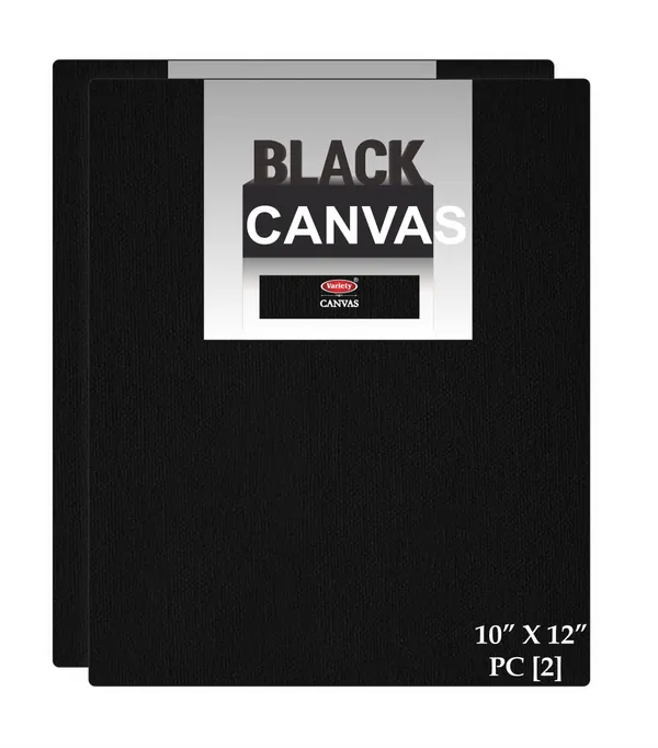 Variety_Canvas_10_X_12_Inch_Black_Canvas_Boards_for_Painting_Pack_of_2
