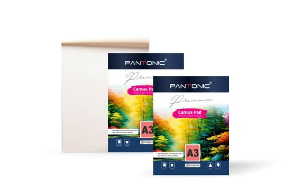Variety_Canvas_A/3_|_400_GSM_Canvas_Pad_Book,_Canvas_Painting_Book_for_Professionals,_Students_&_Beginners_(Canvas_pad_12x16)_PACK_OF_2