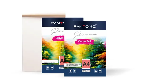 Variety_Canvas_A/4_|_400_GSM_Canvas_Pad_Book,_Canvas_Painting_Book_for_Professionals,_Students_&_Beginners_(Canvas_pad_9x12)_PACK_OF_2