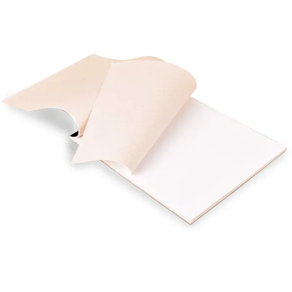 Variety_Canvas_A/5_|_400_GSM_Canvas_Pad_Book,_Canvas_Painting_Book_for_Professionals,_Students_&_Beginners_(Canvas_pad_8x10)_PACK_OF_2