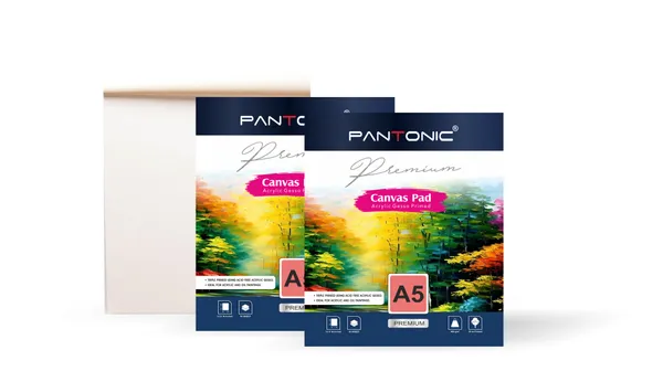 Variety_Canvas_A/5_|_400_GSM_Canvas_Pad_Book,_Canvas_Painting_Book_for_Professionals,_Students_&_Beginners_(Canvas_pad_8x10)_PACK_OF_2