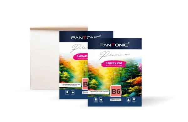 Variety_Canvas_B/6_|_400_GSM_Canvas_Pad_Book,_Canvas_Painting_Book_for_Professionals,_Students_&_Beginners_PACK_OF_2