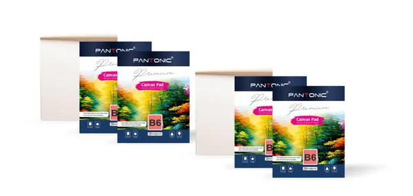 Variety_Canvas_B/6_|_400_GSM_Canvas_Pad_Book,_Canvas_Painting_Book_for_Professionals,_Students_&_Beginners_PACK_OF_4