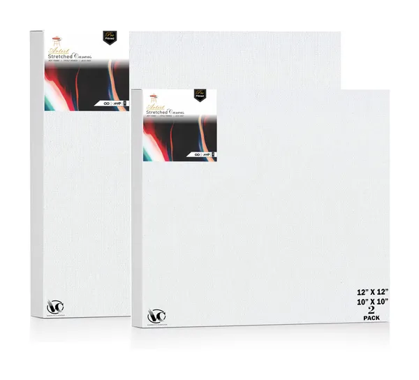 Variety_Canvas®___10"x_10"_(25x25_cm),_12"X12"_(30X30_cm)_Pack_of_2__Artist_Series_10_Oz_100%_Cotton_Pre-Stretched_Canvas_with_Wooden_Frame__20X25__MM_|_Primed_Canvas_Stretched_for_Oil_&_Acrylic_Painting.