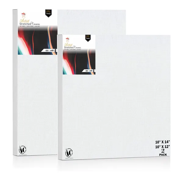 Variety_Canvas®___10"x_12"_(25x30_cm),_10"X14"_(30X35_cm)_Pack_of_2__Artist_Series_10_Oz_100%_Cotton_Pre-Stretched_Canvas_with_Wooden_Frame__20X25__MM_|_Primed_Canvas_Stretched_for_Oil_&_Acrylic_Painting.