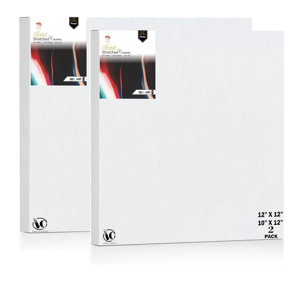 Variety_Canvas®___10"x_12"_(25x30_cm),_12"X12"_(30X30_cm)_Pack_of_2__Artist_Series_10_Oz_100%_Cotton_Pre-Stretched_Canvas_with_Wooden_Frame__20X25__MM_|_Primed_Canvas_Stretched_for_Oil_&_Acrylic_Painting.