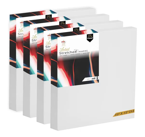 Multicolour_Stretched_Canvas_Pack_Of_4
