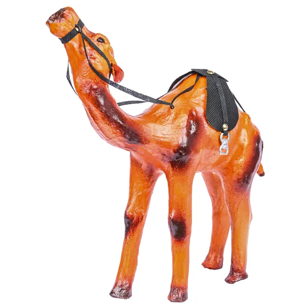 12_INCH_CAMEL