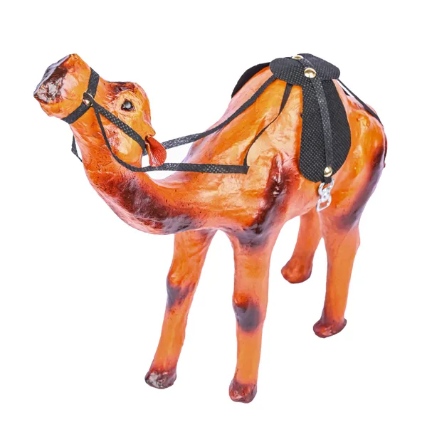 12_INCH_CAMEL