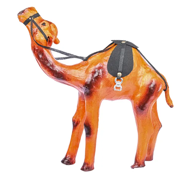 12_INCH_CAMEL