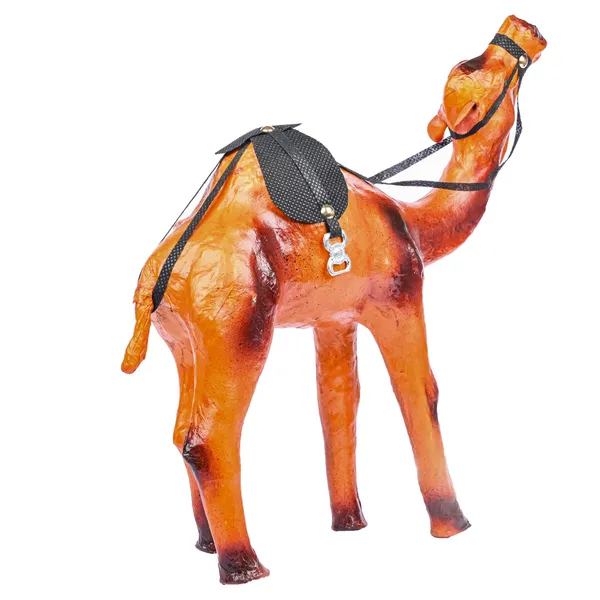 12_INCH_CAMEL