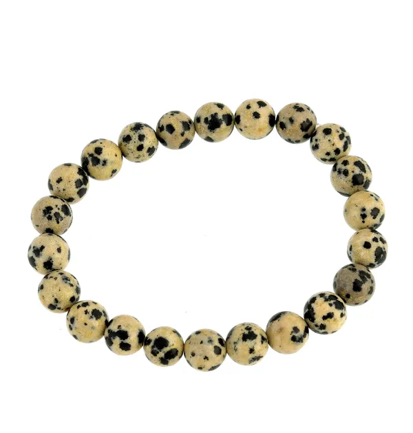 Dalmatian_Jasper_(The_Beige_with_Black_Spots)