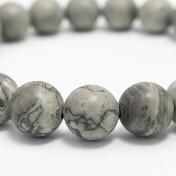 Zebra_Jasper_(Black_&_White_Stripes)