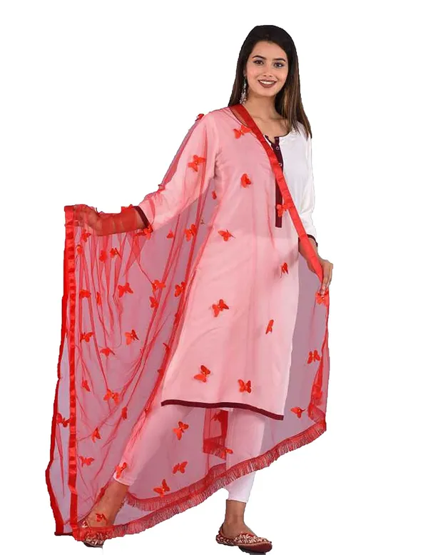 Women_S_Net_Dupatta