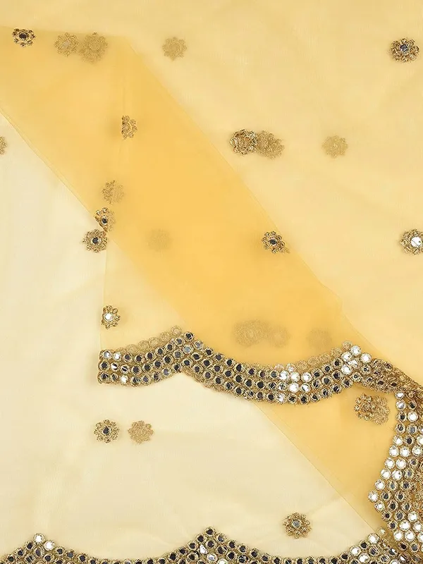 Women_S_Embellished_Net_Dupatta