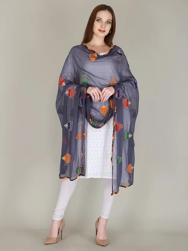 Women_S_Chiffon_Dupatta
