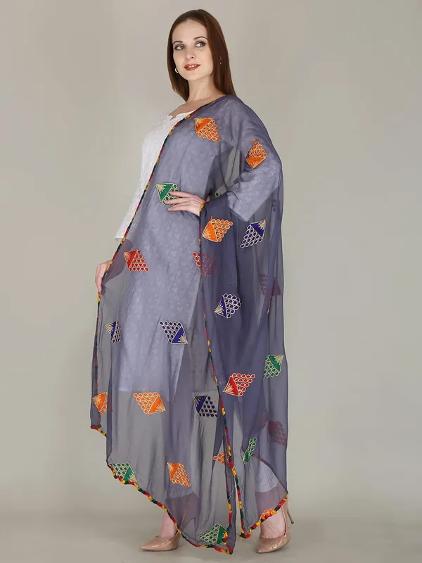 Women_S_Chiffon_Dupatta