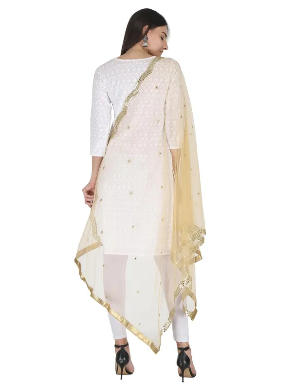 Women_S_Net_Dupatta