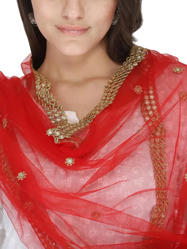 Women_S_Net_Dupatta